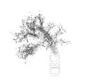 Berylium (Knockout)
